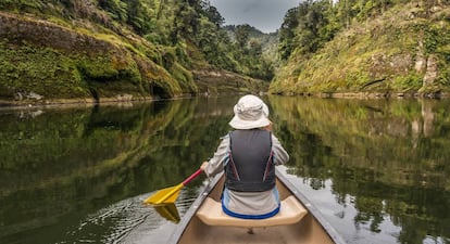 El r&iacute;o Whanganui, en Nueva Zelanda.