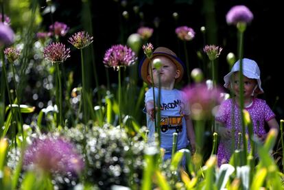 Un niño y una niña exploran el nuevo Children's Garden en Kew, diseñado en torno a los elementos que las plantas necesitan para crecer, en Londres, el 16 de mayo de 2019. El nuevo jardín cubre 10,000 m², el tamaño de casi 40 canchas de tenis y es para que los jóvenes exploren y jueguen.