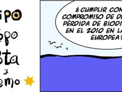 RAMÓN