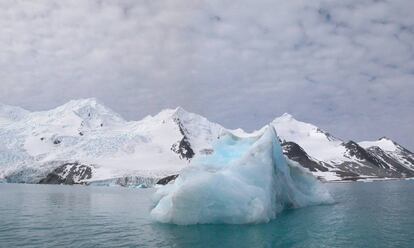 Bahía Falsa de la Isla Livingston.