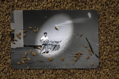 Fotografía antigua, en blanco y negro, de un trabajador del arroz. Pertenece a los archivos de la casa del 'tancat' -tierra ganada a la albufera- de Baldoví. La imagen en color se ha tomado en el granero de Arroz Tartana.