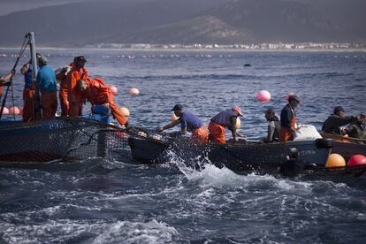 Varios pescadores en un bote inician la subida de las redes.