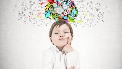Neurodidáctica, instruir desde la motivación