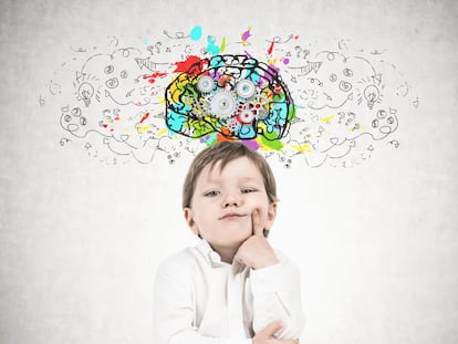 Neurodidáctica, instruir desde la motivación