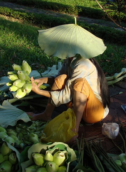 Vendedora de flores de loto