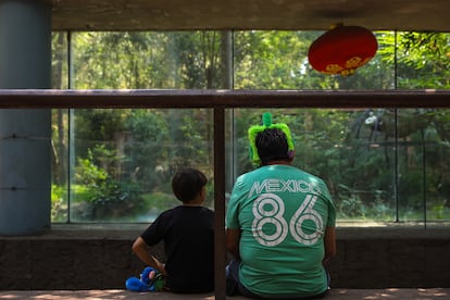 personas observan a Xin Xin, el panda de 34 años