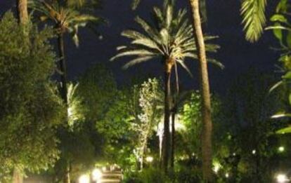 Visita nocturna al Jardín Botánico de Córdoba.