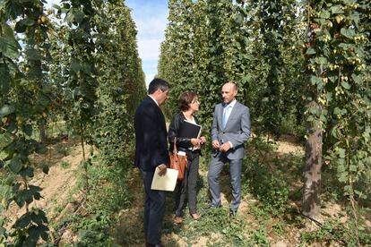 Esperanza Orellana, directora general de Producciones y Mercados Agrarios, junto a Jacobo Olalla, director general de Cerveceros España (izquierda) y José Antonio Madagán, director general de Hopsteiner España (derecha).