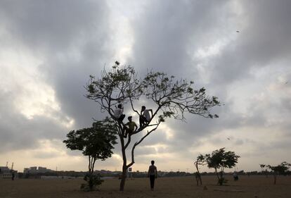 Niños sentados en las ramas de un árbol bajo un cielo nublado en un campo de Karachi, Pakistán.