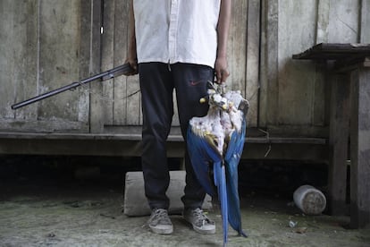 Oscar Ie Evay (65) es uno de los miembros de mayor edad de la comunidad yuqui. Subsiste de la caza, actividad en la que es gran experto. Los animales que cazan los yuquis son, generalmente, para consumo propio. En la foto se pueden observar las aves que cazó para su almuerzo.