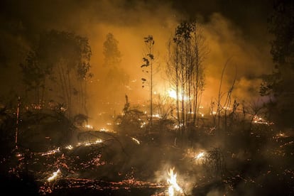 Os lumes e a fumaça elevam-se durante um incêndio florestal em Lousame, cerca da Corunha, o 30 de agosto de 2013. O acréscimo da temperatura média e a diminuição das precipitações criarão o caldo de cultivo ideal para os incêndios florestais, especialmente nas zonas de alta montanha. Nos últimos anos já se está apreciando como os incêndios superam com maior frequência as 500 hectares (os denominados Grandes Incêndios Florestais) e são mais virulentos e difíceis de combater.