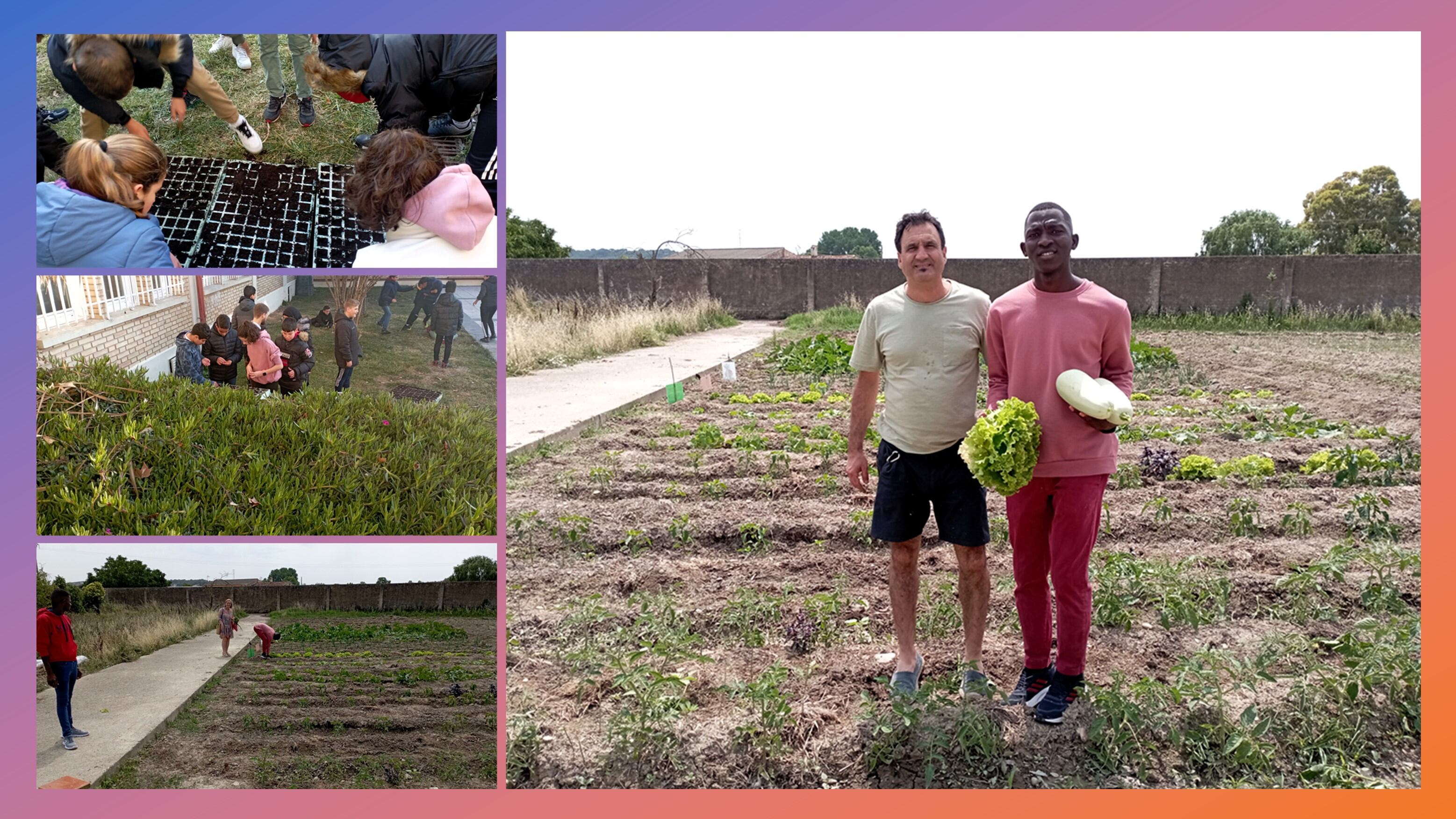 Prácticas de siembra , semilleros y preparación del terreno en la huerta del COA. Actividad de Semillas solidarias. Proyecto Rakani.