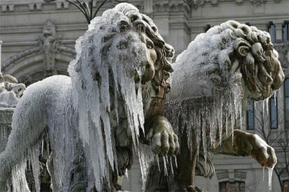 Los leones de la estatua de Cibeles presentaban ayer unas inusuales barbas, formadas por carámbanos de hielo.