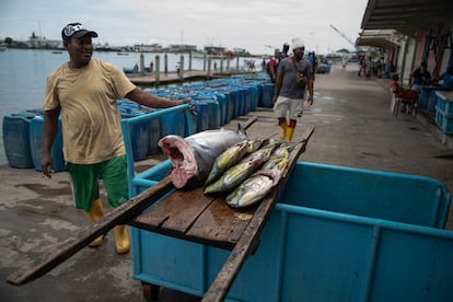 Tres dorados y cuatro peces espada listos para la venta en las bodegas del Puerto Artesanal, en Esmeraldas, el 29 de abril de 2023.