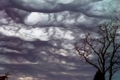 Undulatus Asperatus son un nuevo tipo de nube en la ultima clasificación realizada por la OMM. Recibe el nombre de su forma ondulada y áspera.