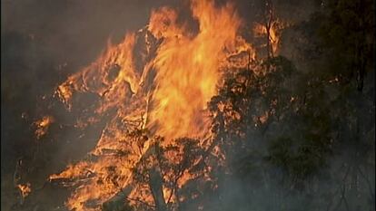 Imagen aérea del fuego en Bundoora, en el Estado de Victoria, este lunes.