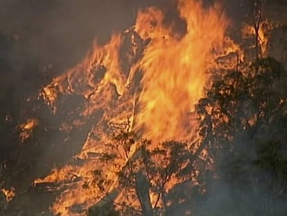 Imagen aérea del fuego en Bundoora, en el Estado de Victoria, este lunes.