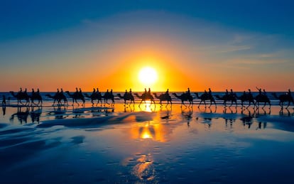 Paseo en camello por Cable Beach, en Australia.