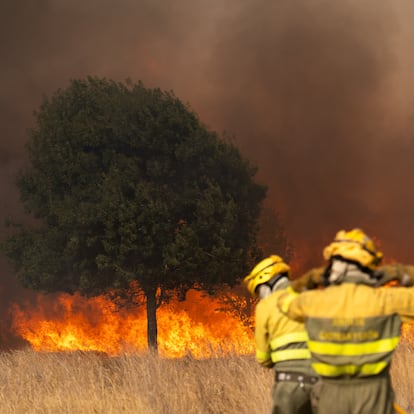 Bomberos trabajan para extinguir el incendio, a 10 de agosto de 2025, en Molezuelas de la Carballeda, Zamora (España). La Junta de Castilla y León ha declarado çIndice de Gravedad Potencial (IGR) 2 en un incendio originado en la localidad de Molezuelas de la Carballeda (Zamora), que ha sido desalojada al igual que los vecinos de Cubo de Benavente y Uña de Quintana. El fuego se ha originado sobre las 14:30 horas de este domingo, y se ha elevado a gravedad 2 a las 16:31 horas, por situaciones de riesgo para la población, bienes o daño forestal.
11 AGOSTO 2025
Emilio Fraile / Europa Press
10/08/2025