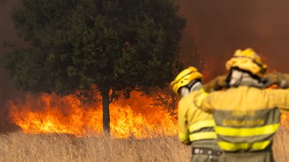 Bomberos trabajan para extinguir el incendio, a 10 de agosto de 2025, en Molezuelas de la Carballeda, Zamora (España). La Junta de Castilla y León ha declarado çIndice de Gravedad Potencial (IGR) 2 en un incendio originado en la localidad de Molezuelas de la Carballeda (Zamora), que ha sido desalojada al igual que los vecinos de Cubo de Benavente y Uña de Quintana. El fuego se ha originado sobre las 14:30 horas de este domingo, y se ha elevado a gravedad 2 a las 16:31 horas, por situaciones de riesgo para la población, bienes o daño forestal.
11 AGOSTO 2025
Emilio Fraile / Europa Press
10/08/2025