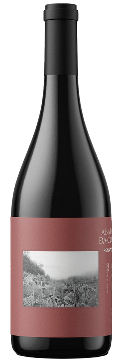 EL PAIS GASTRO VINOS CARLOS DELGADO RIBEIRA SACRA