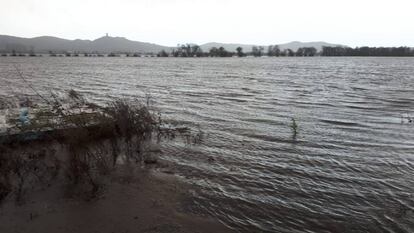 Antiguos terrenos desecados de la Lagoa de Antela anegados por las borrascas.