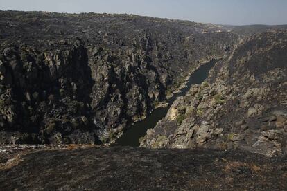 Panorámica de los Arribes del Duero un día después de incendio que afectó al Parque Natural.