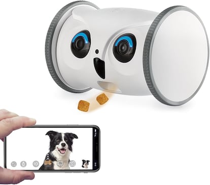 Cámara para mascotas