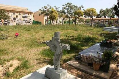 En la imagen, una de las parcelas de la sección séptima del Cementerio General de Valencia.