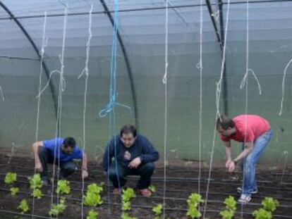 Internos en la comunidad terapéutica de Asfedro, en Ferrol