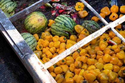 La mercancía pasa poco tiempo en frío. Eso significa que la fruta tiene un ciclo corto de comercialización. Cuando no se vende, o no es apta para donaciones, termina en un contenedor orgánico que es llevado a una eco-área para convertirse en biogás o compost. Cada tipo de residuo (pescados, frutas o carnes) requiere un tratamiento específico y regulado por ley. 