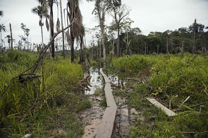 El campamento central del Bloque Sur está ubicado en algún lugar de la selva en la región del Putumayo a donde hay que llegar por bote y después de una buena caminata por trocha.