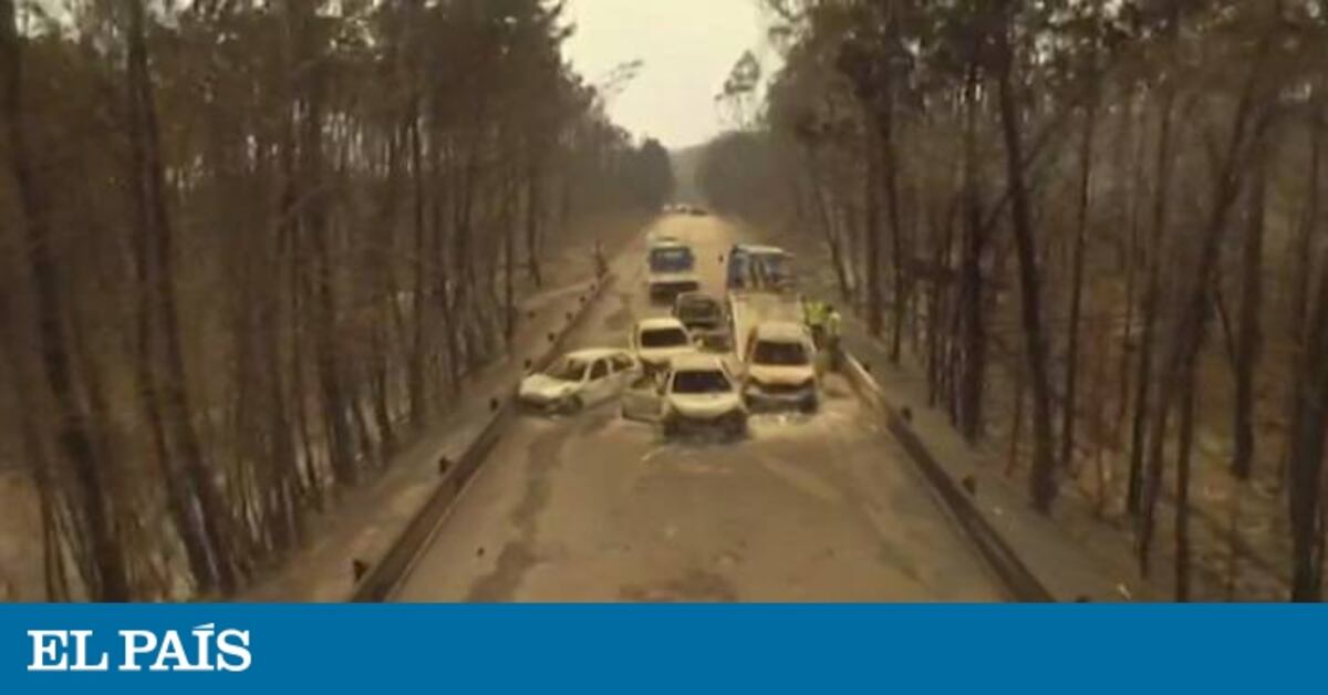 Almenys 62 morts i 54 ferits en un incendi forestal a Portugal ...