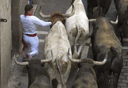 Un mozo corre ante los toros de la ganadería de Miura.