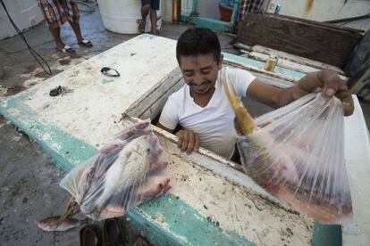 Un pescador muestra los pocos pescados tras horas de faena.