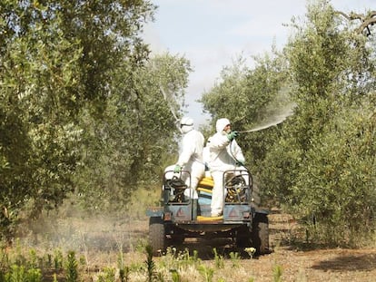 Varios operarios fumigan con abono l&iacute;quido una finca de olivar en Pilas (Sevilla).