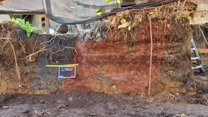 Lugar en la vivienda de los Graf donde fueron hallados los restos óseos.