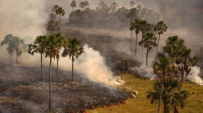 Área de queimada na Chapada dos Veadeiros