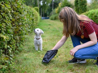 Seleccionamos las mejores bolsas para recoger los excrementos de perro y con miles de valoraciones en Amazon.