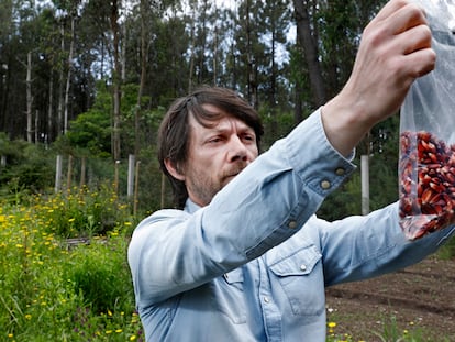 Mayo de 2021 - Reportaje con el agricultor Santiago Pérez en Teo, A Coruña - Foto, Francis Tsang