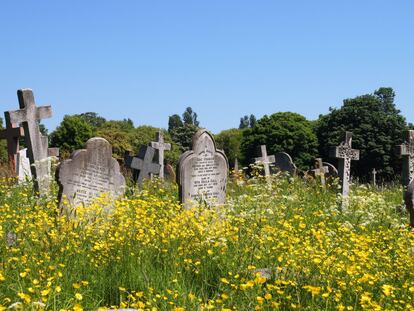 Lápidas rodeadas de flores en el cementerio de Kensal Green, en Londres (Inglaterra).