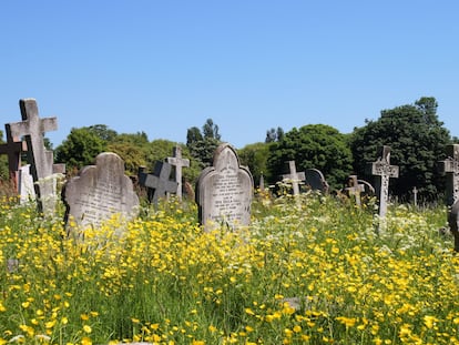 Lápidas rodeadas de flores en el cementerio de Kensal Green, en Londres (Inglaterra).