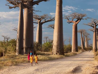Vuelos a Madagascar por 850 euros