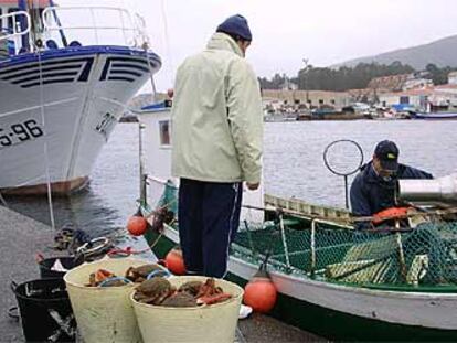 Pescadores de la cofradía de Portosín (A Coruña), donde ya se autorizó la pesca el pasado 27 de febrero.