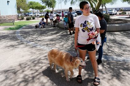 Rori Chang, of Glendale, Ariz., waits in line with her dog Ava to get microchipped at the Maricopa Country Animal Care & Control facility Friday, June 30, 2023, in Phoenix.