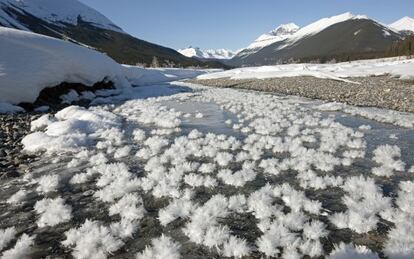 Flores de hielo en un un arroyo helado de Graveyard Flats, un valle de las Monta&ntilde;as canadienses.