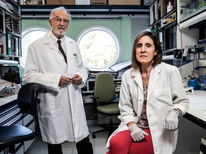 Los investigadores españoles Luis Enjuanes e Isabel Sola, en su laboratorio de la Universidad Autónoma, en junio del año pasado.