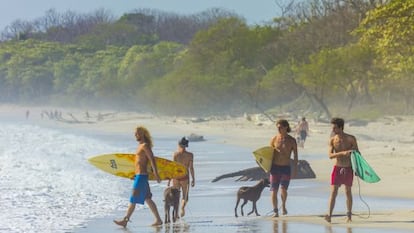 Surfistas en la playa de Santa Teresa, en Costa Rica.