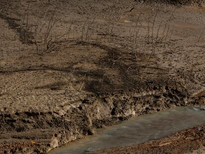 El rio Cardener que confluye en el embalse de la Llosa del Cavall.