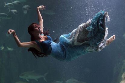 Presentación del espectáculo <i>Nacidos del mar</i> , en el Aquarium de Roquetas de Mar (Almería).